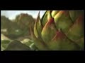 alien plant eats