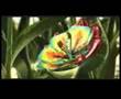 alien-plant-eats