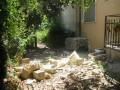 youtube_0001.wmv