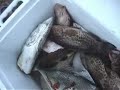 Sabah MFN kembali dari Karang-karang Sabah MFN kembali dari Karang-karang