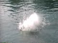 Quarry Jumping