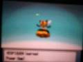 Pokémon Combee to Vespiquen