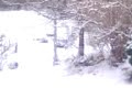 pasage en glise sur la neige