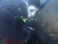 Episode 23 - The NE Marine Ecosystem, Part 1 Episode 23 - The NE Marine Ecosystem, Part 1