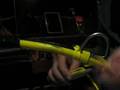 Geoduck diving