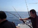 DESAFIO MEDITERRANEO RIFO II Roses. Pesca del atun.