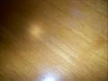 videos de FuN