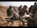 Juif.org : Tsahal, arm�e Israelienne