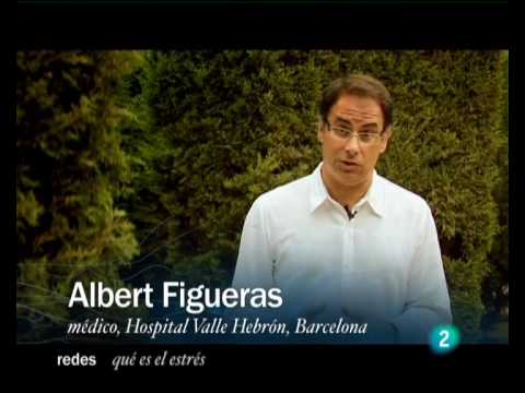 Fisiología del estrés 0 Fisiología del estrés