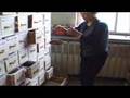 Acupuncture, Tui Na, Herbs, Qigong and Tai Chi