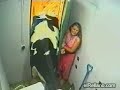 when cows go crazy when cows go crazy