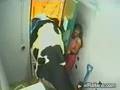 when cows go crazy