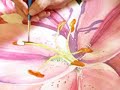 Watercolor Demonstration By Lori Andrews