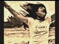 يآرآ نآسيني 2010