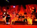 Higher Love-Pop Jam Higher Love-Pop Jam