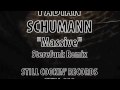 Fabian Schumann