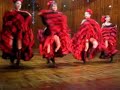 cancan ploiesti trompi