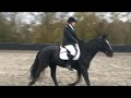 Me and Murphy at Felbridge Dressage 8th November 2008