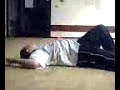fish-gone-wild.html