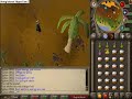 karamia agility course