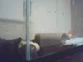 Hermit crab time lapse video
