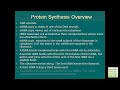 Protein Synthesis - An Overview (Examville.com)