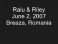 Riley-s-Wedding