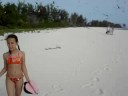 Bird Island Seychelles