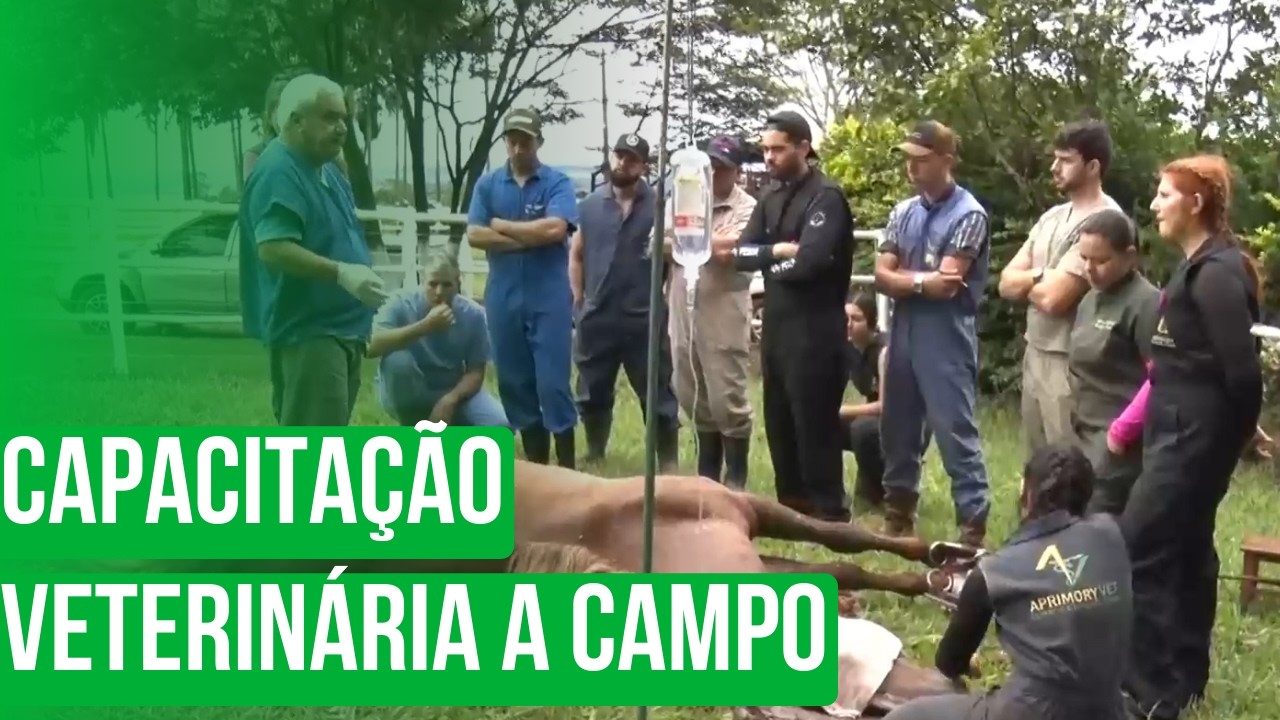 Capacitação veterinária a campo