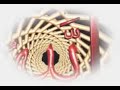 ilg-n-sistem-dershanesi-mehmet-hoca-mzik-show-.html