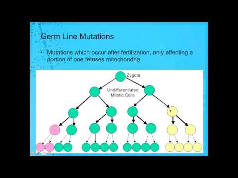 how to isolate mtdna