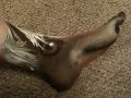 Sniffing foot painting