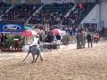Polito en Ginebra 2005