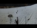 Shotgun-Buckshot VS Plasticine block+1 target
