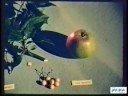 Apple Breeding at JIHI, 1959