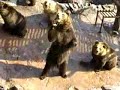 ours ours