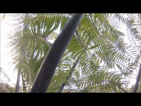 Video di Bazils hostel & Surf school