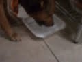 SDC10521.AVI