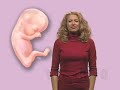 Your Pregnancy: What to Expect - Baby by Week