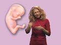 Your Pregnancy: What to Expect - Baby by Week