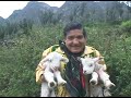 COMUNERO DE LOS ANDES - HISTORIA DEL COMUNERO - 2011