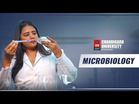Chandigarh University Lucknow General video thumbnail 46