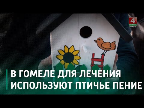 В медучреждении Гомеля для лечения и реабилитации используют птичье пение видео