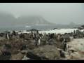 ANTARCTICA PART 5