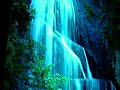 woods waterfall