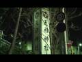 videos de tpp-081231-004