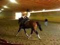 Wili 08-19-08 lesson