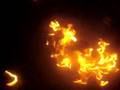 fire can be fun.wmv