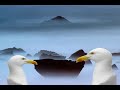 ilhas de bruma acores
