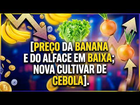 Preço da banana e do alface em baixa; nova cultivar de cebola.
